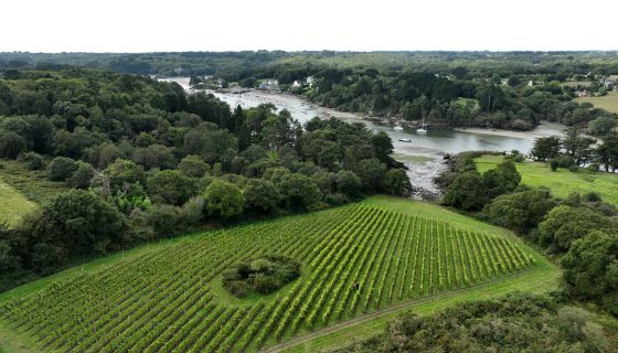 Vignoble Roc’h-Mer aerial view