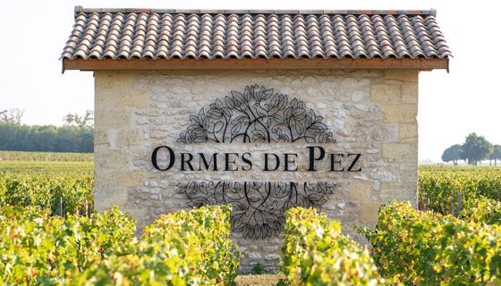 Ch Ormes de Pez