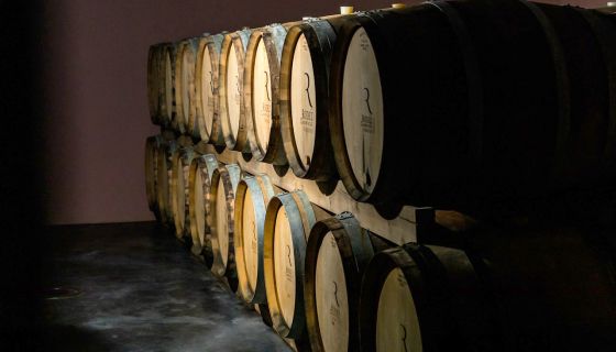 Eric Rodez barrel cellar