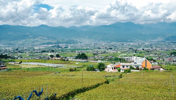 View over the Kofu basin from Fujiclair winery
