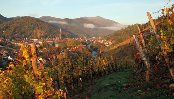 Village of Thann with the River Thur