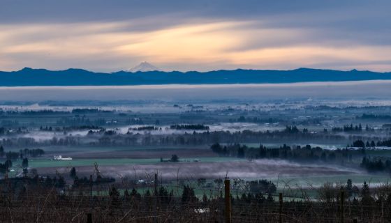 Mr Hood misty morning