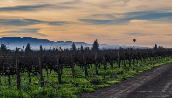 Napa sunrise with hot-air balloon