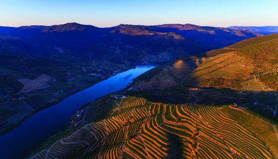 Quinta do Vesuvio aerial view
