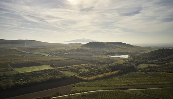 view over Tokaj