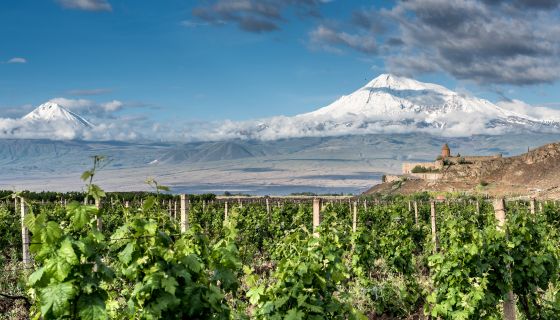 Mt Ararat overlooking vineyards