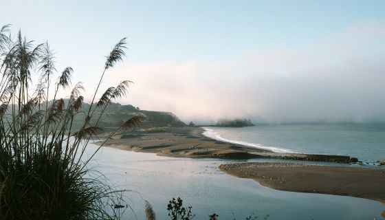 The Pacific ocean view from Flowers Vineyards 
