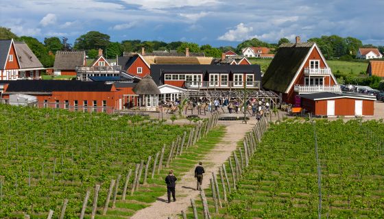 Kullabergs Vingård © Terra Skåne/Jan Kivissar