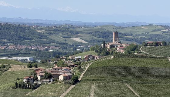 view towards Barbaresco