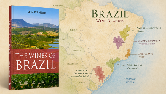 CWL Wines of Brazil over map