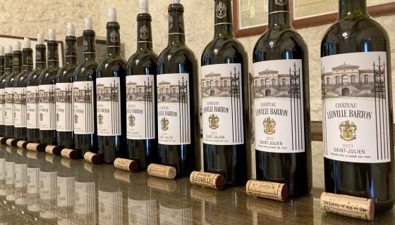 Léoville Barton - line-up of wines for vertical tasting