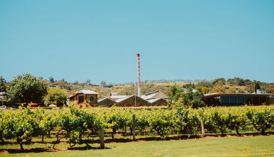 Penfolds Magill Estate chimney and vines