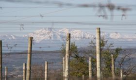 Pyrenees from a vineyard at Dom Begude in Limoux