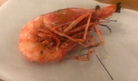 A red prawn from Roses at Estimar restaurant in Barcelona