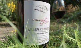 A bottle of Lavigne Saumur-Champigny in a garden