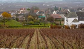 Angerville's Clos des Ducs