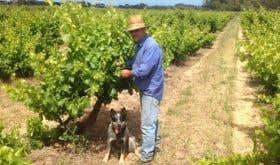 Charlie Whish and dog Juno with dry grown Grenache