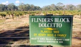 Flinders Block Dolcetto sign