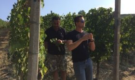 Giorgio Culasso and Giovanni Gaja