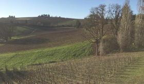 Willamette Valley wine country in Oregon