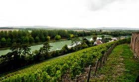 Champagne Philipponnat's Clos des Goisses vineyard in Mareuil-sur-Ay