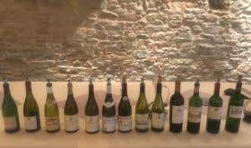 A range of French 2008 wines