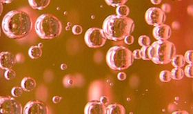 Rose champagne bubbles