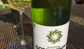 Doniene Gorrondona Bizkaiko Txakolina