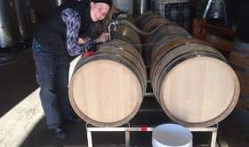 Samantha Cole-Johnson filling barrels in the Willamette Valley, 2019