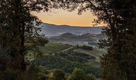 ColleMassari estate in Montecucco, southern Tuscany