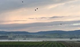 Balloons over Punt Road, Yarra Valley early one November morning
