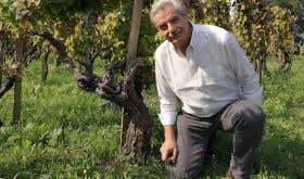 Carlo Ferrini in a Giodo vineyard