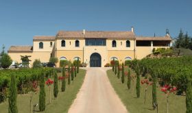 Domaine Gayda winery