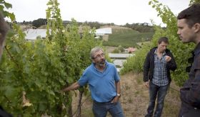 Stephen Henschke in their Lenswood vineyard before the 2019 Adelaide Hills fire