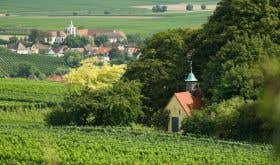 Heiligenkirche vineyard by Neiss of the northern Pfalz