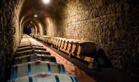 The barrel-filled tunnel of Domaine du Tunnel