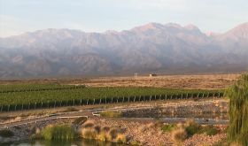 Dawn in the Uco Valley with sun on the Andes