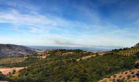 Luigi Maffini's vineyards overlooking the Bay of Salerno