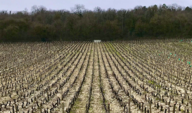 The Hautes Cotes of Burgundy in winter