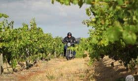 Tim Smith on his Trumph bike in a South Australian vineyard