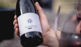 Outlawed Pranzegg wine grown on pergola in northern Italy