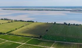 Ch Leoville Las Cases vineyards by the Gironde in the Medoc, Bordeaux