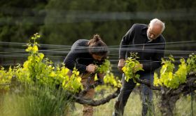 Childeric - Camille and Etienne debudding