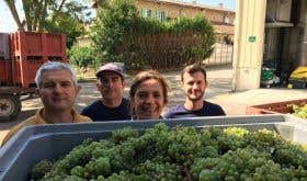 Antech - Francoise and her team at harvest