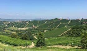 View from Tre Stelle towards Barbaresco with the crus of Martinenga and Rabajà in the distance.