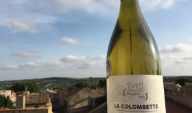 Au Creux du Nid blanc from Dom de la Colombette