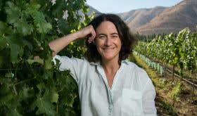 Chilean winemaker Emily Faulconer