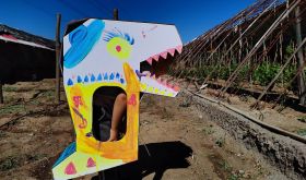 Mark Hao - wine from Inner Mongolia