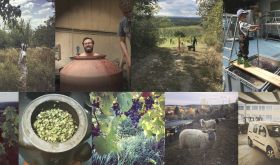 Weninger - a collage