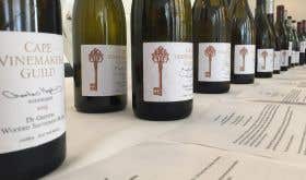 Tasting of Cape Wine Guild Auction wines in London, September 2020